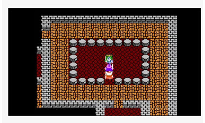Dragon Warrior 4 - Nintendo - NES