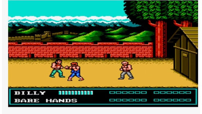 Double Dragon 3: The Sacred Stones - Nintendo - NES