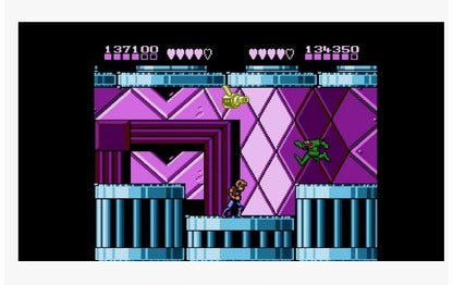 Battle Toads Double Dragon - Nintendo - NES