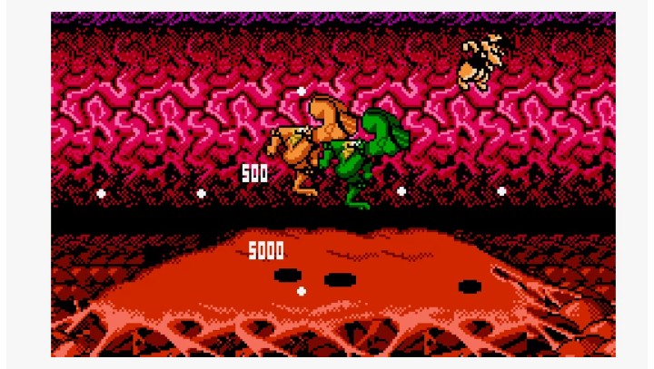 BattleToads - Nintendo - NES