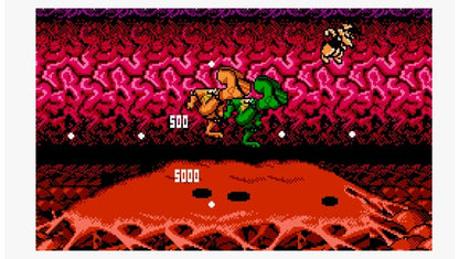 BattleToads - Nintendo - NES