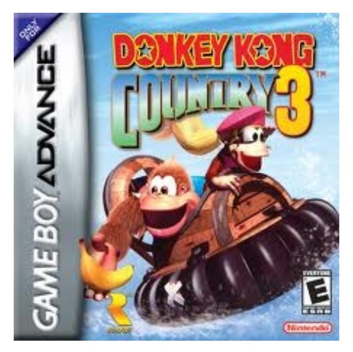 Donkey Kong Country 3 - Nintendo Gameboy Advance