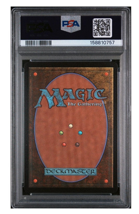 2025 Magic The Gathering Final Fantasy 0569 Choco, Seeker of Paradise Chocobo Bundle PSA 10 - MTG