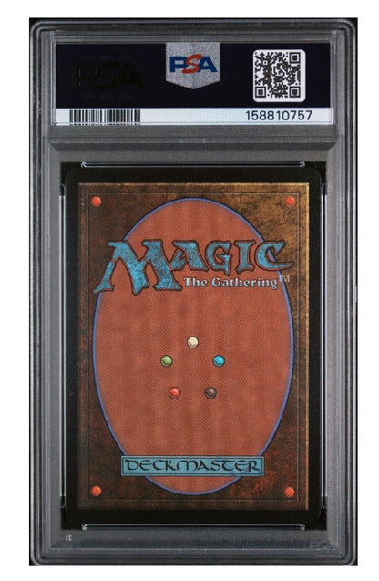 2025 Magic The Gathering Final Fantasy 0569 Choco, Seeker of Paradise Chocobo Bundle PSA 10 - MTG